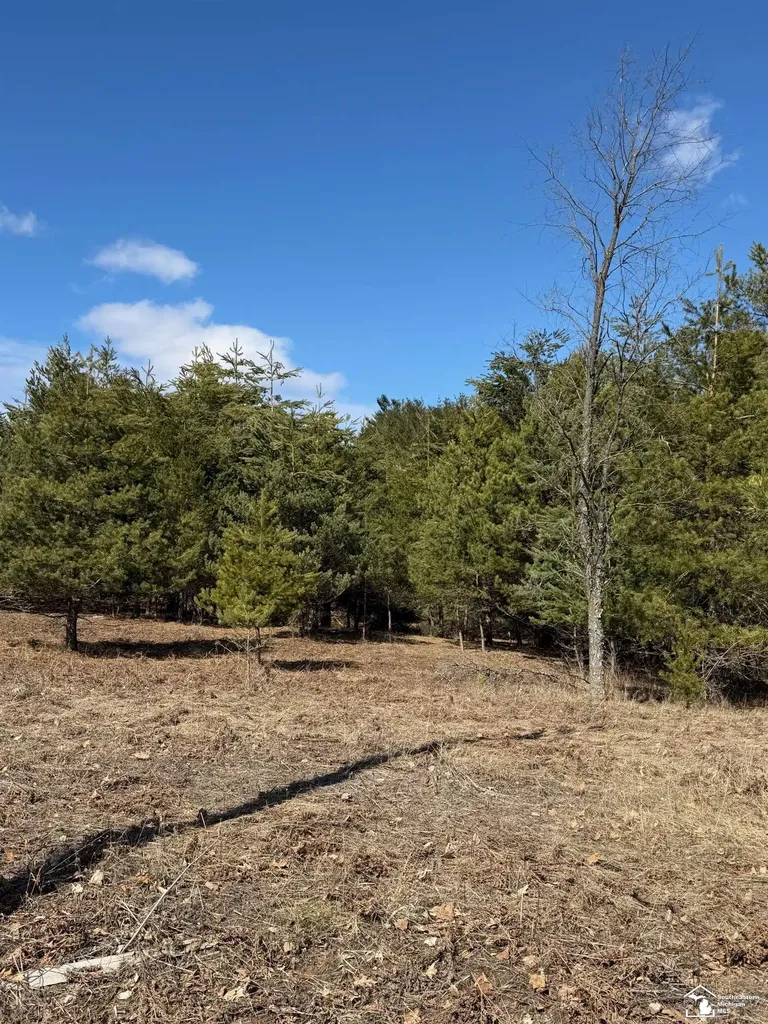 Ville Lot 184 Chippewa Trail Evart Township MI 49631
