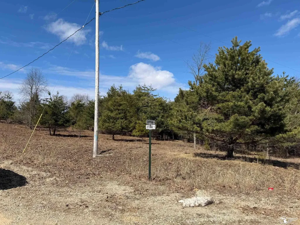 Ville Lot 184 Chippewa Trail Evart Township MI 49631
