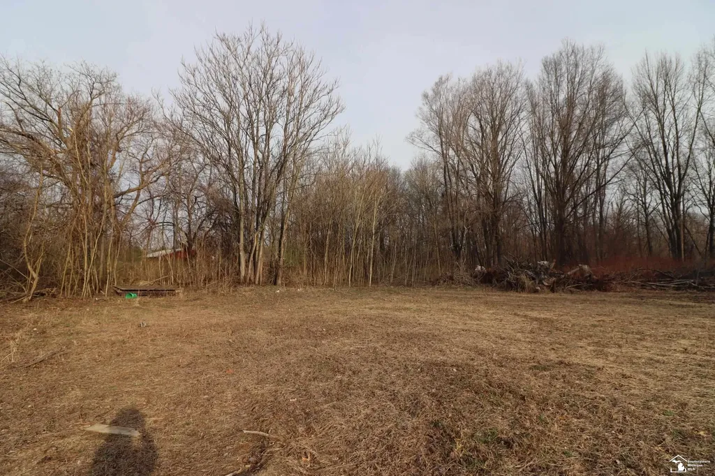 2630 W Temperance Road Bedford Township MI 48182