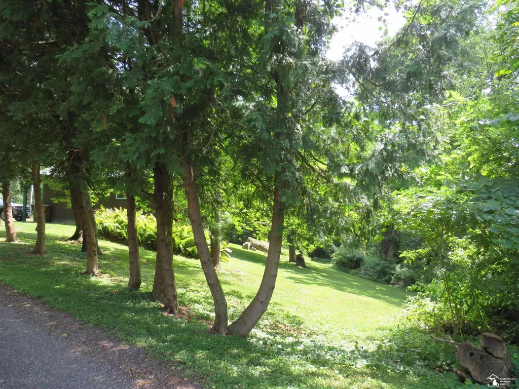 1193 Sand Lake Highway Cambridge Township MI 49265
