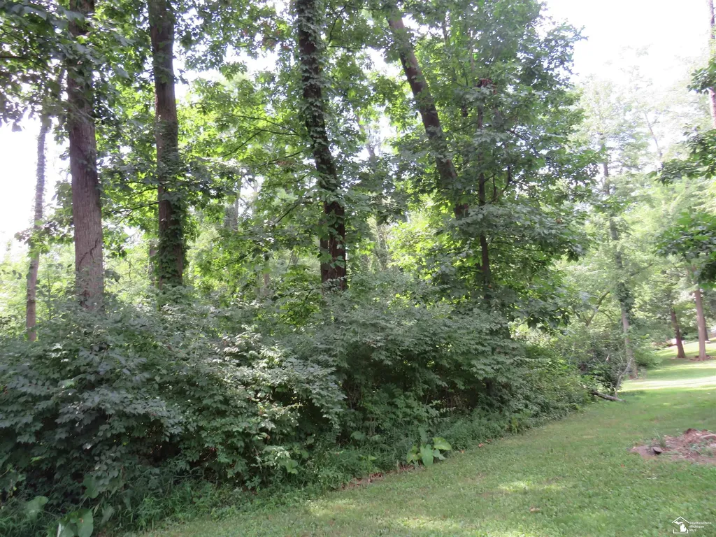 1193 Sand Lake Highway Cambridge Township MI 49265