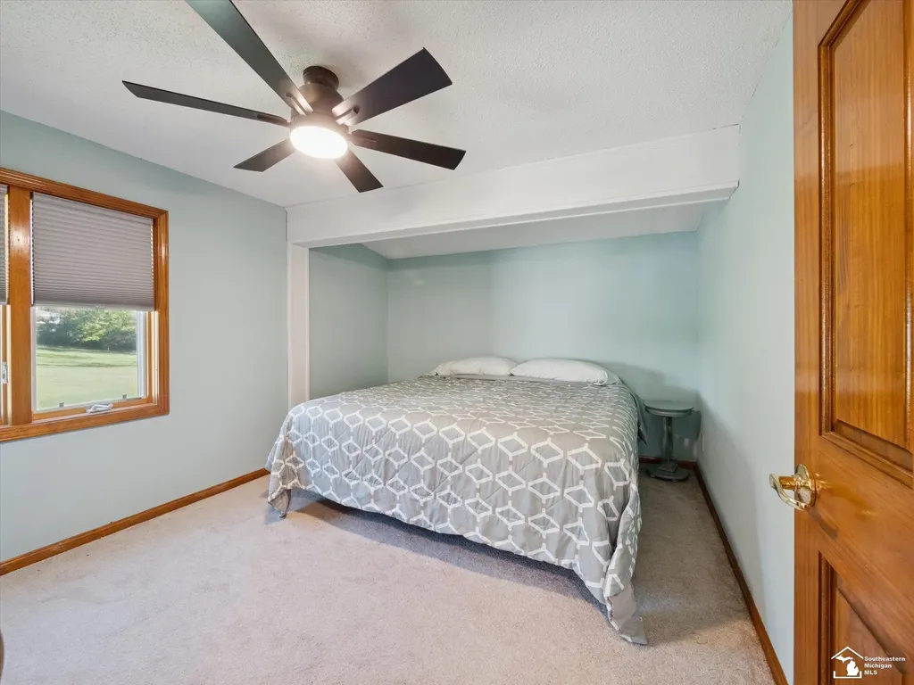 7302 N Lakeview Drive Cambria Township MI 49242