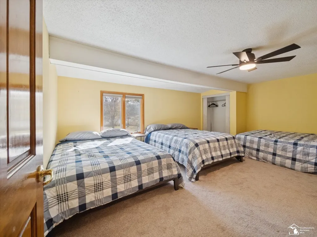 7302 N Lakeview Drive Cambria Township MI 49242