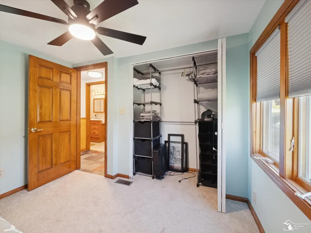 7302 N Lakeview Drive Cambria Township MI 49242