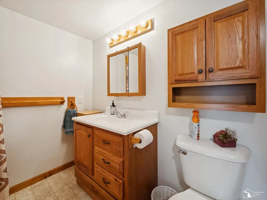 7302 N Lakeview Drive Cambria Township MI 49242