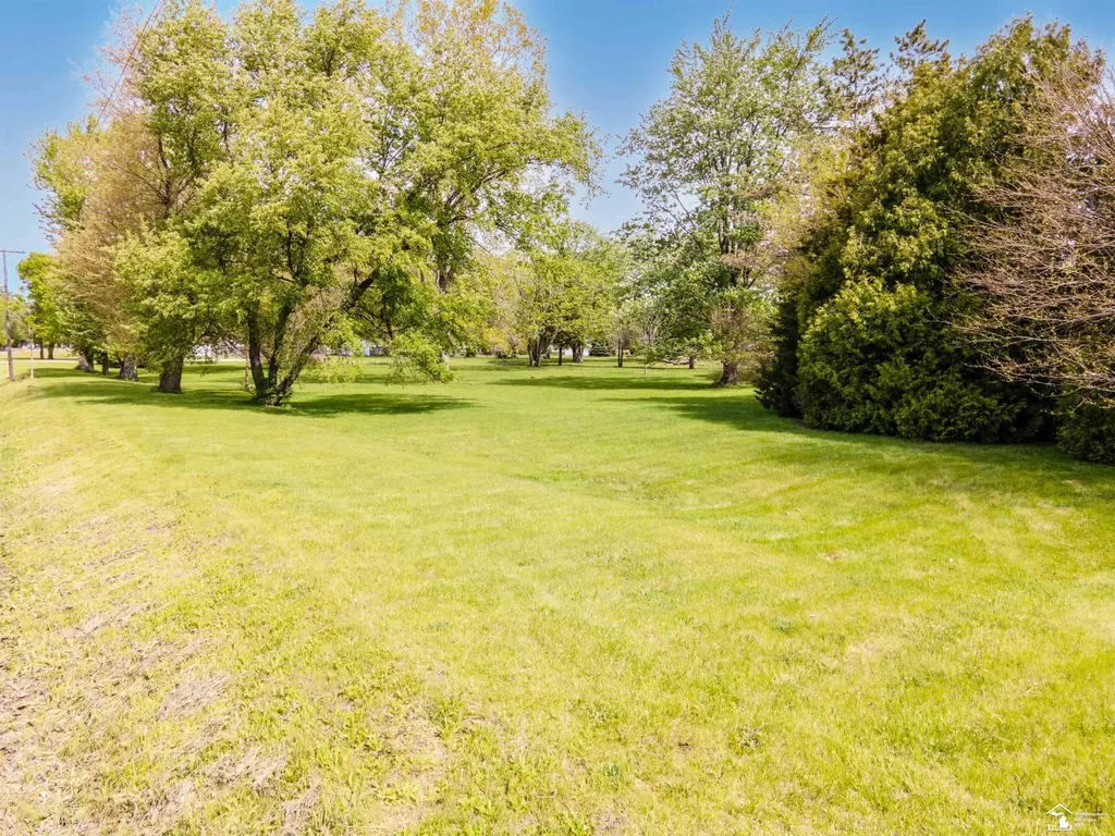 4175 Teal Road Summerfield Township MI 49270