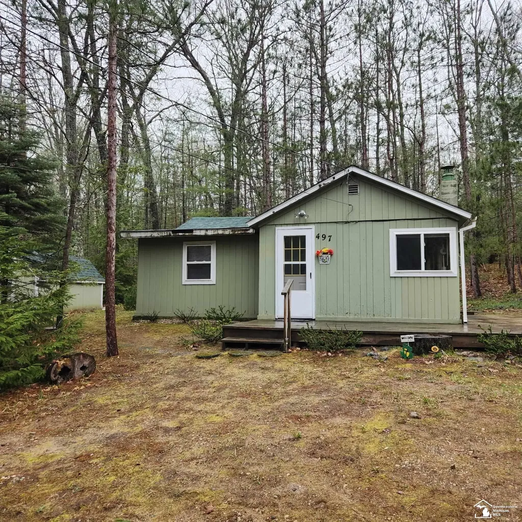 497 E Bear Lake Road NE Road Bear Lake Township MI 49646