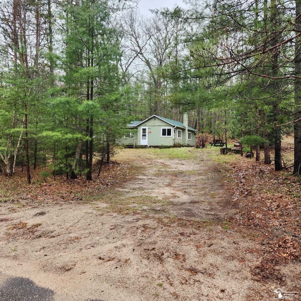 497 E Bear Lake Road NE Road Bear Lake Township MI 49646