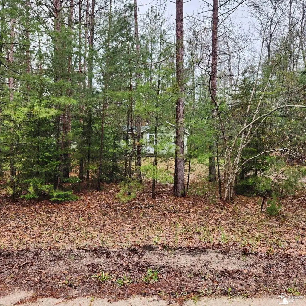 497 E Bear Lake Road NE Road Bear Lake Township MI 49646