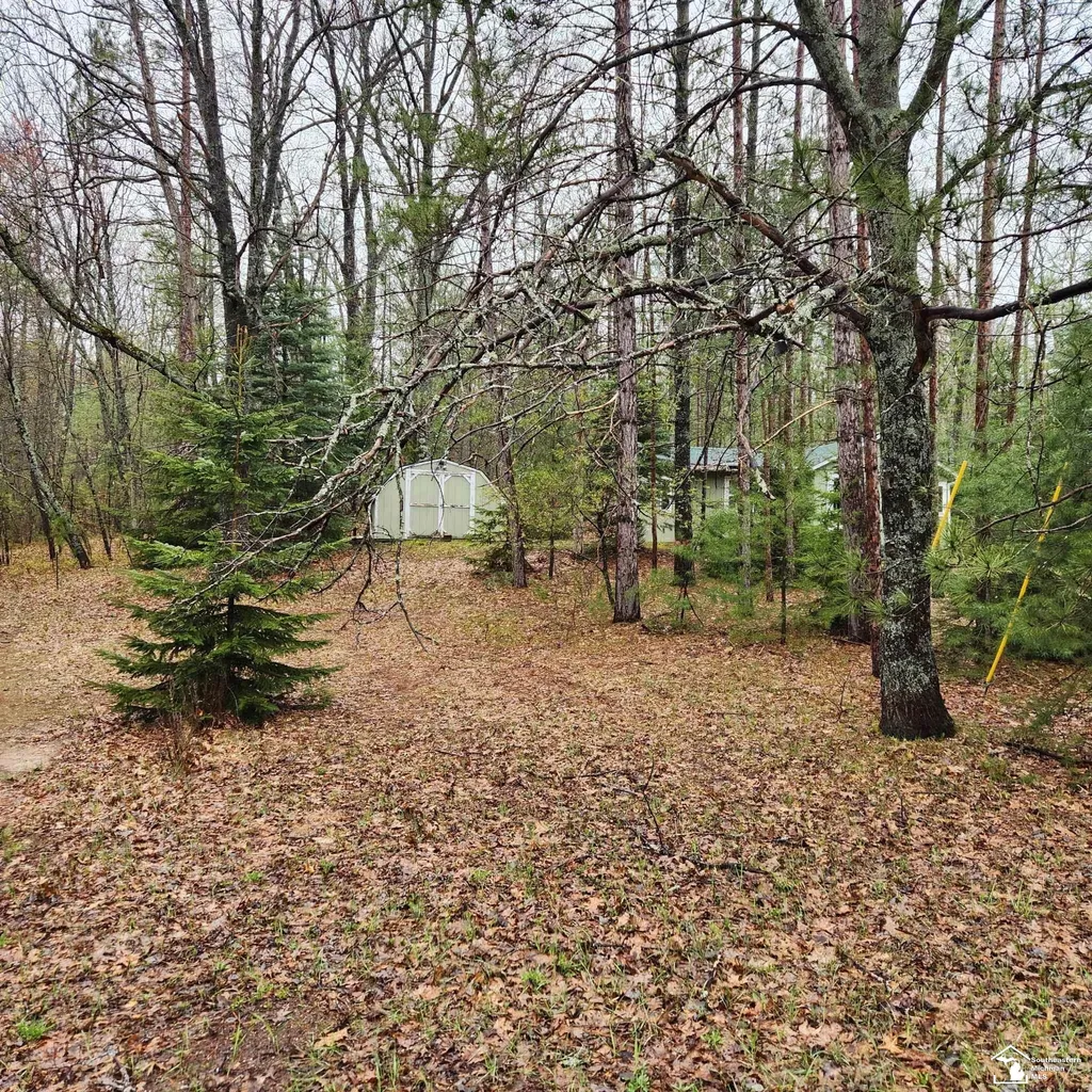 497 E Bear Lake Road NE Road Bear Lake Township MI 49646