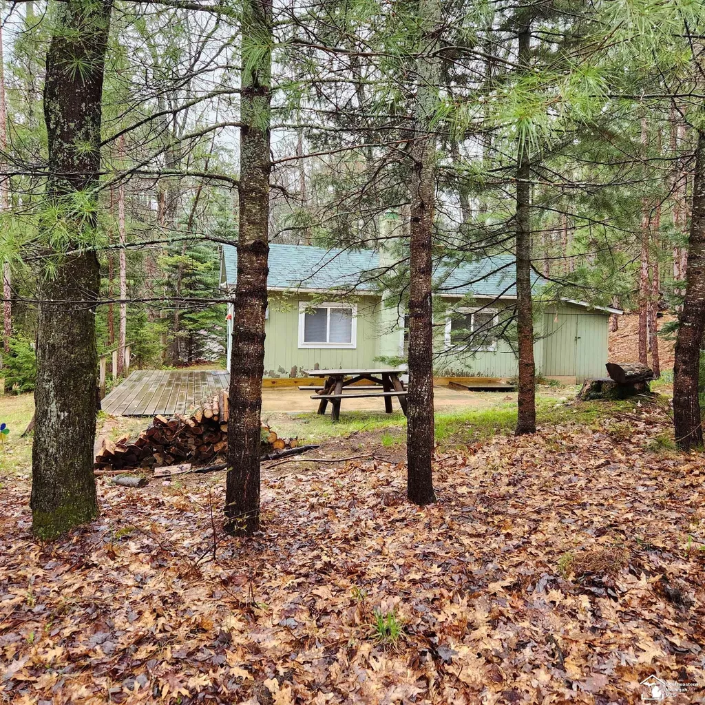 497 E Bear Lake Road NE Road Bear Lake Township MI 49646