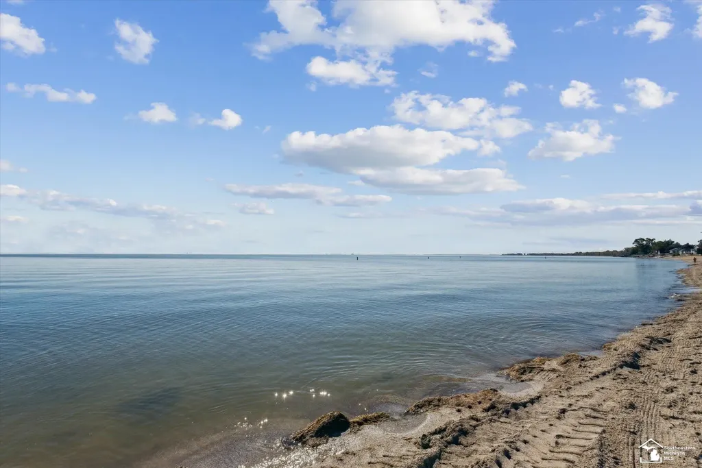 216 Beachwalk Trail Luna Pier City MI 48157