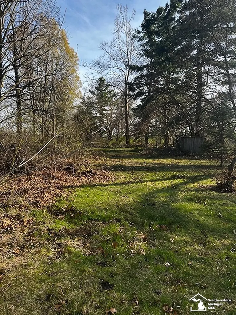 12933 Lulu Road Ida Township MI 48140
