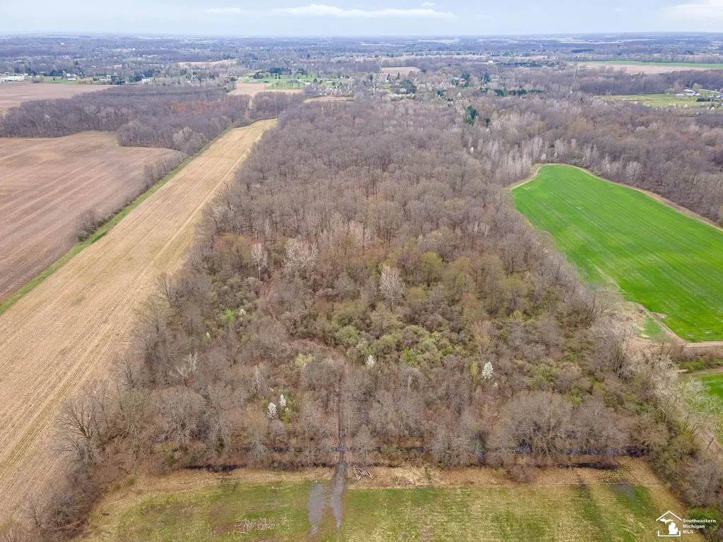 3455 W Albain Road Monroe Charter Township MI 48161