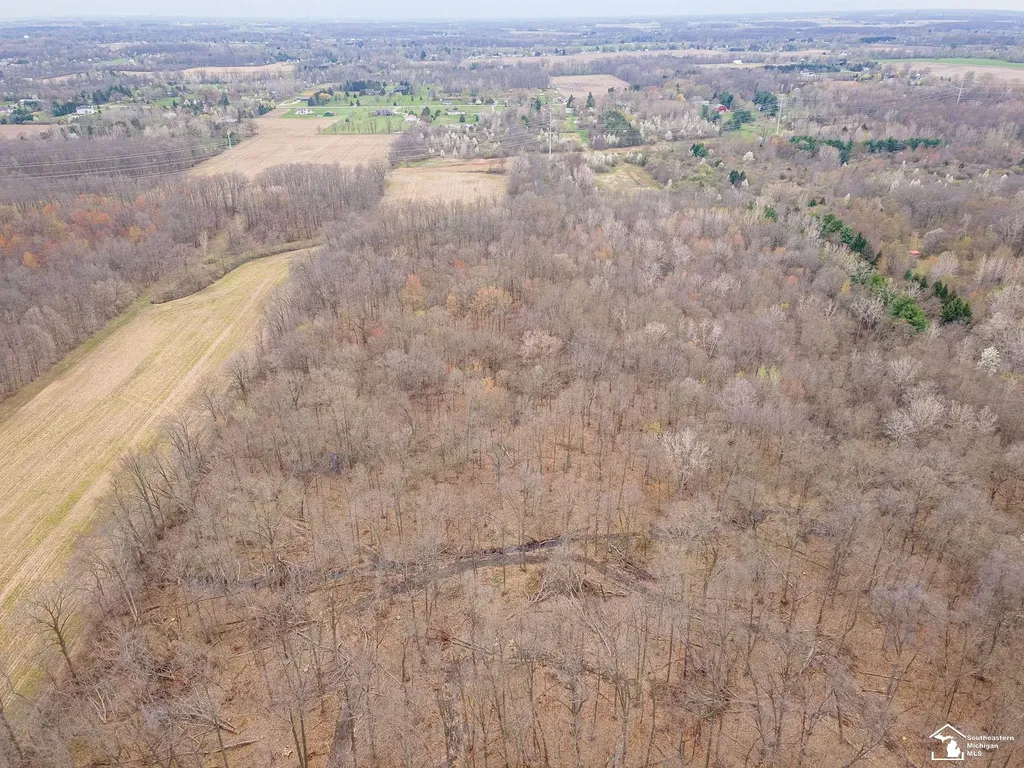 3455 W Albain Road Monroe Charter Township MI 48161