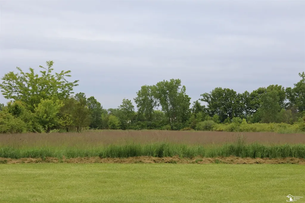 163 E Sterns Road Bedford Township MI 48182