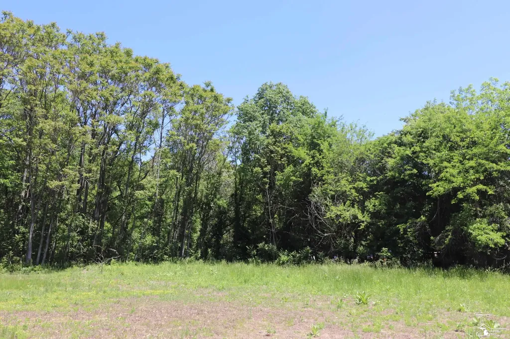 2630 W Temperance Road Bedford Township MI 48182