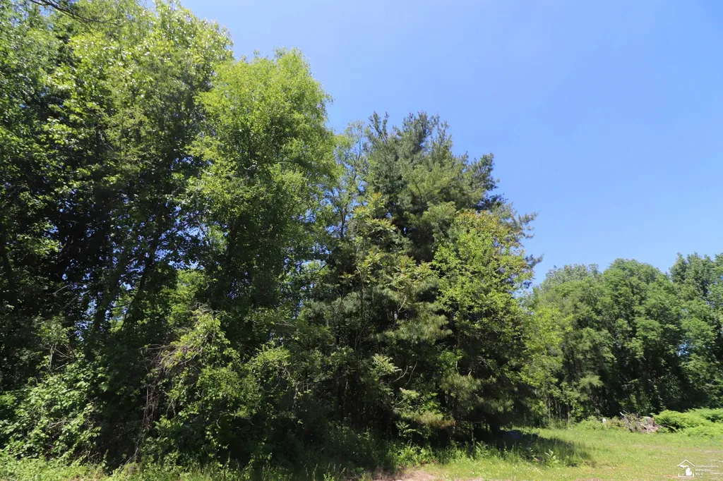2630 W Temperance Road Bedford Township MI 48182