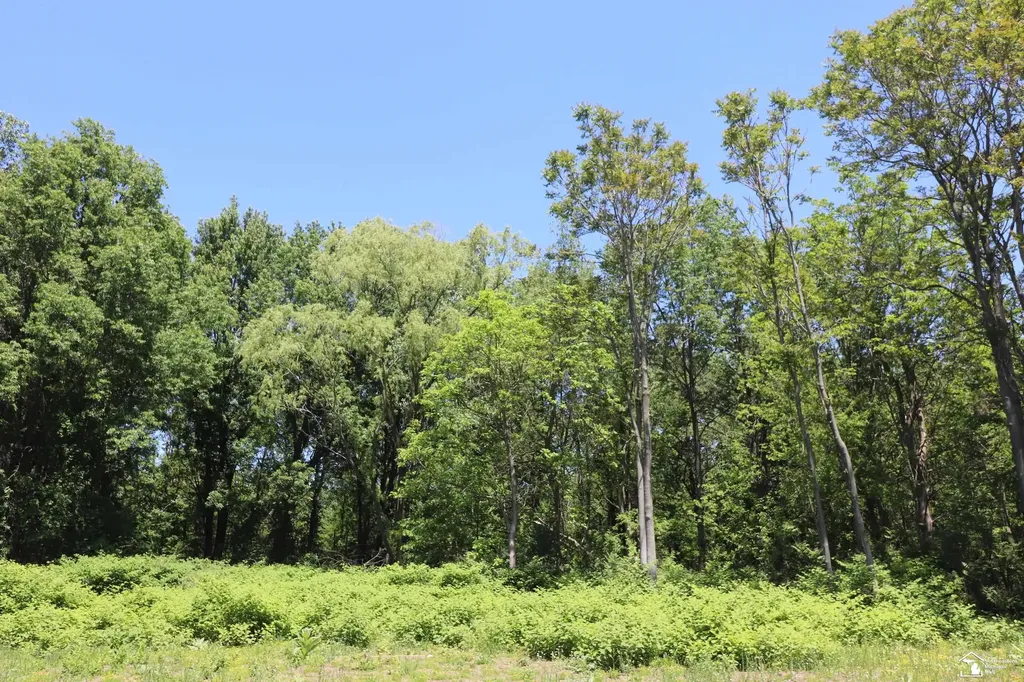 2630 W Temperance Road Bedford Township MI 48182
