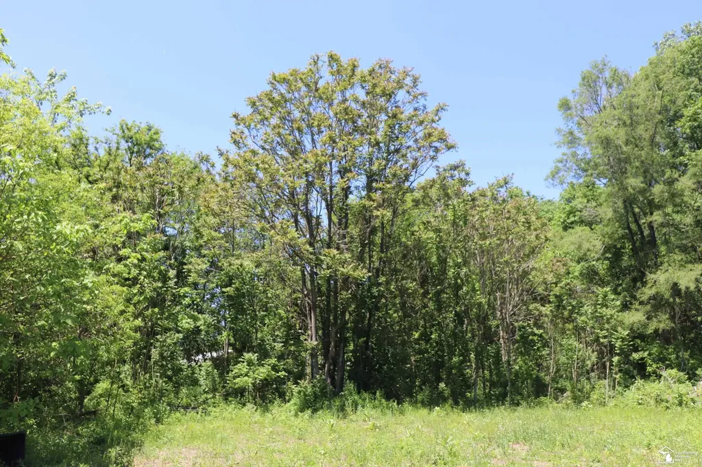 2630 W Temperance Road Bedford Township MI 48182