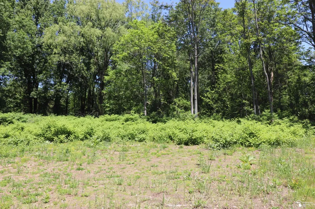 2630 W Temperance Road Bedford Township MI 48182