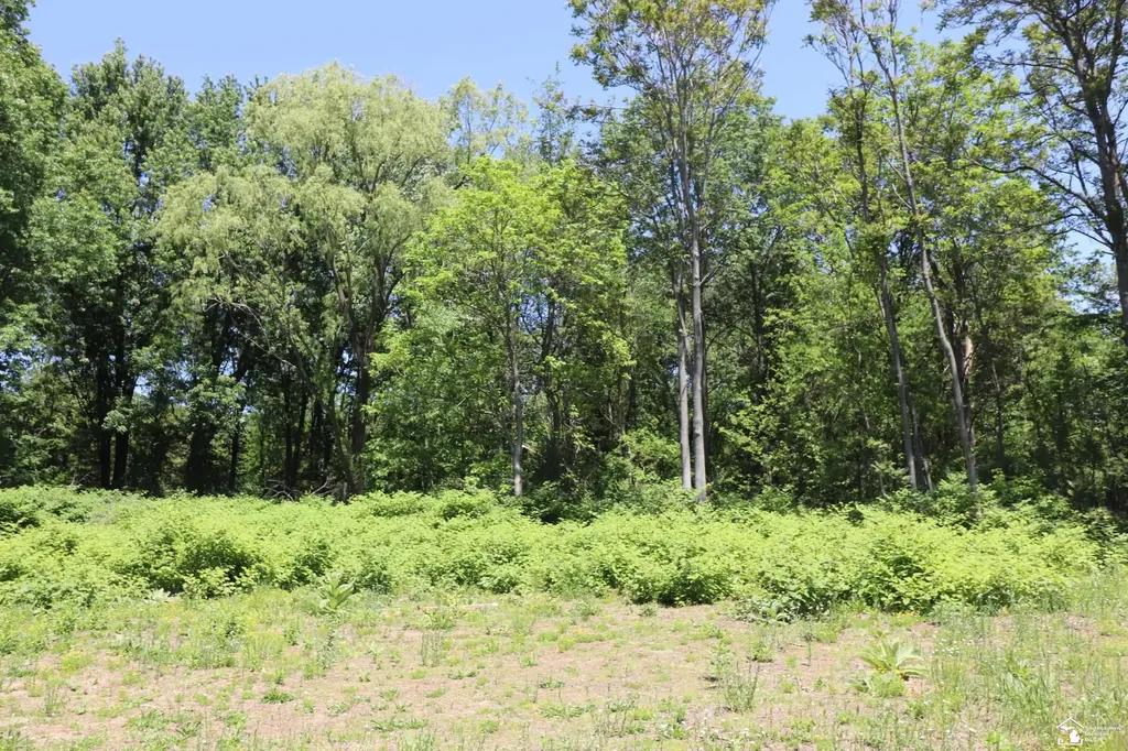 2630 W Temperance Road Bedford Township MI 48182