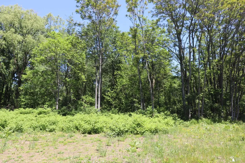 2630 W Temperance Road Bedford Township MI 48182