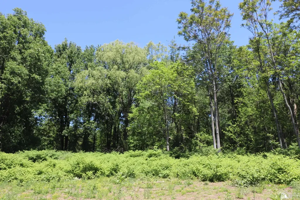 2630 W Temperance Road Bedford Township MI 48182