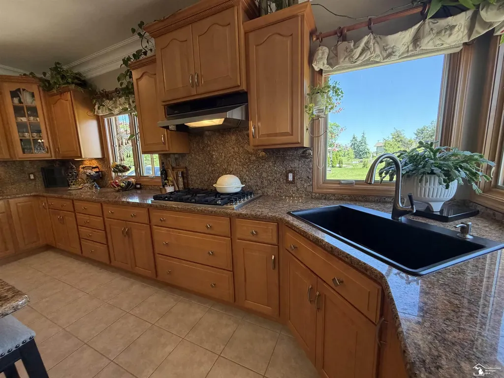8424 Eagle Pointe Drive Unknown City MI 48166