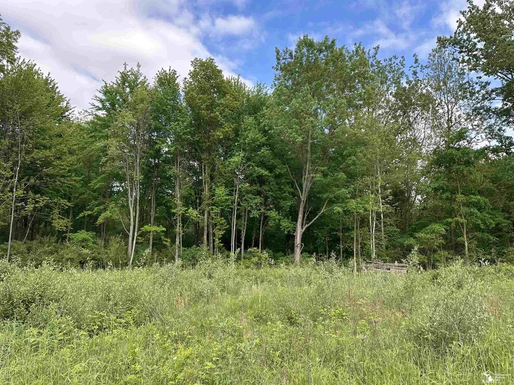 3886 Douglas Road Ida Township MI 48140