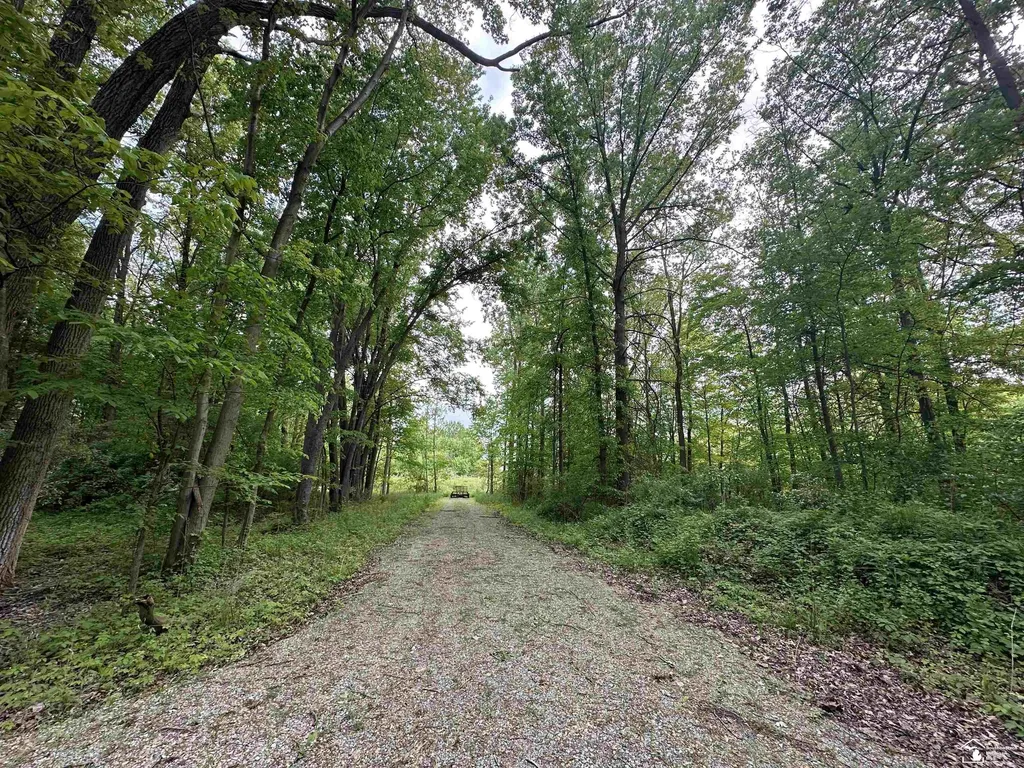 3886 Douglas Road Ida Township MI 48140