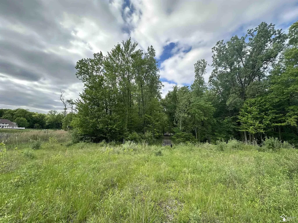 3886 Douglas Road Ida Township MI 48140