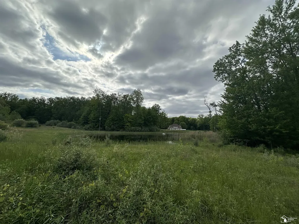 3886 Douglas Road Ida Township MI 48140