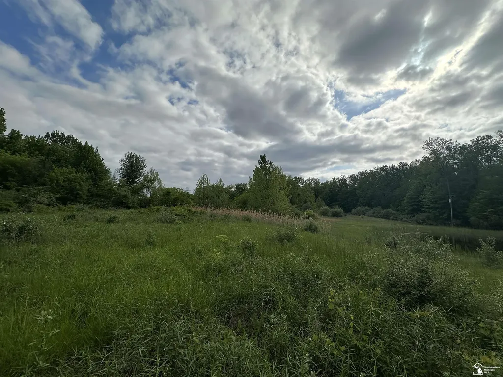 3886 Douglas Road Ida Township MI 48140