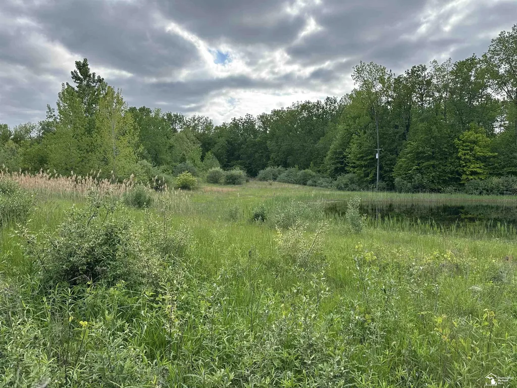 3886 Douglas Road Ida Township MI 48140
