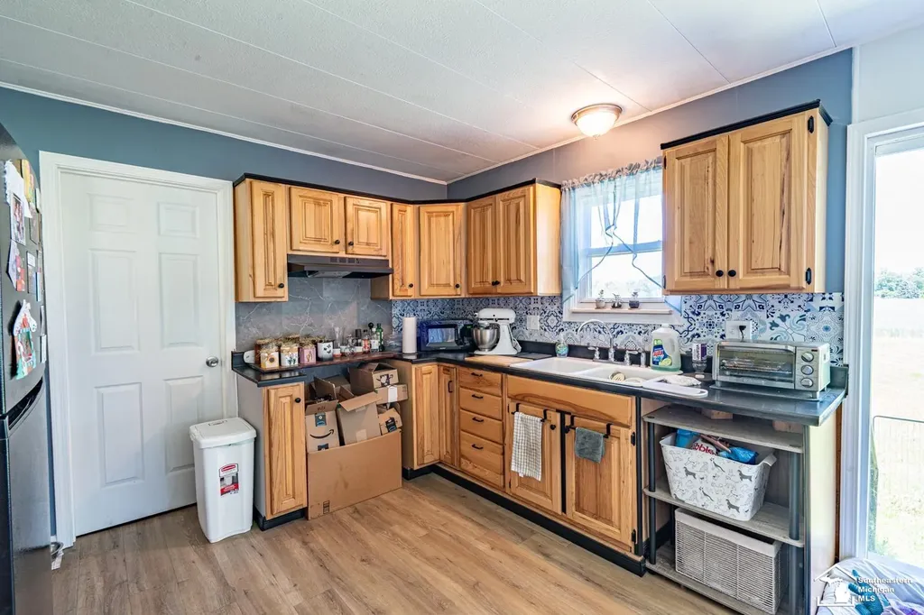 16788 Ida West Road Summerfield Township MI 49270