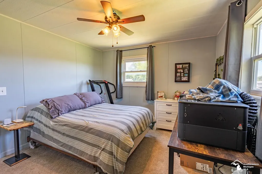 16788 Ida West Road Summerfield Township MI 49270