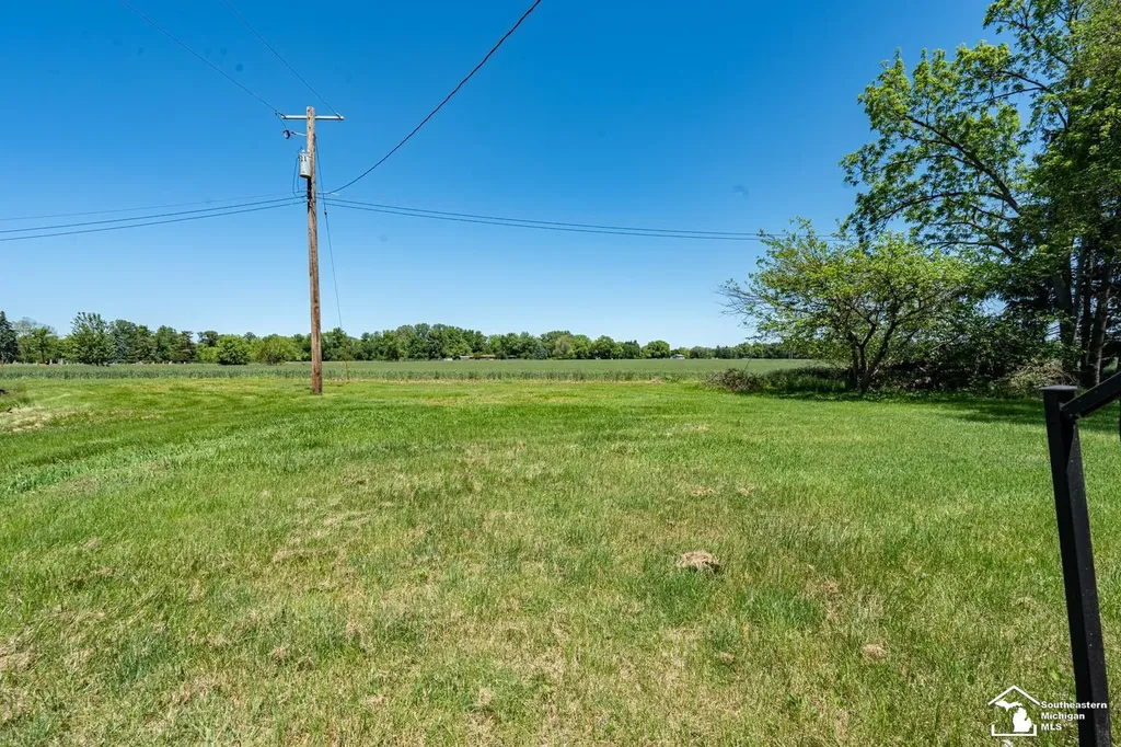 16788 Ida West Road Summerfield Township MI 49270