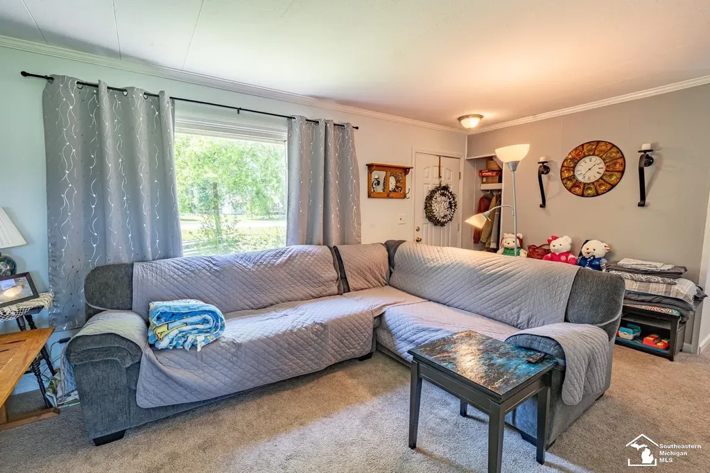 16788 Ida West Road Summerfield Township MI 49270