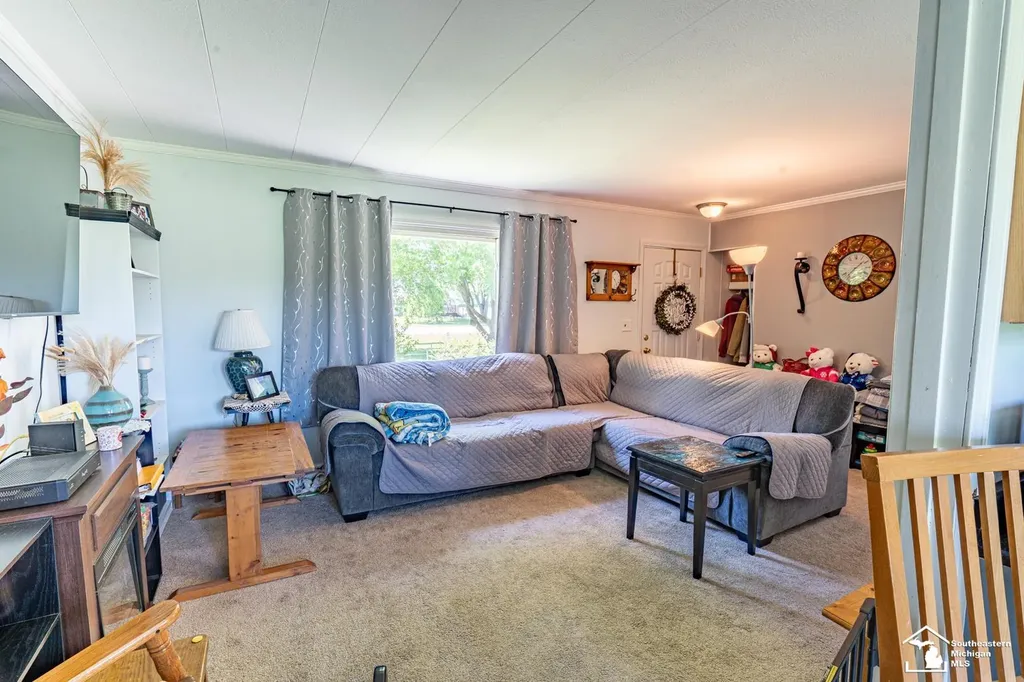 16788 Ida West Road Summerfield Township MI 49270