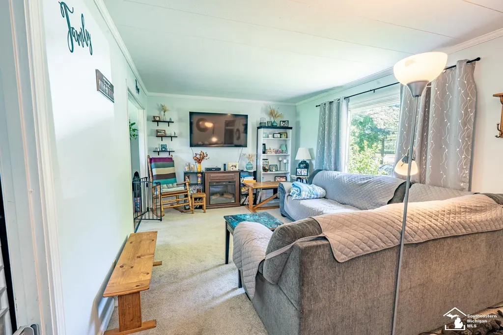 16788 Ida West Road Summerfield Township MI 49270