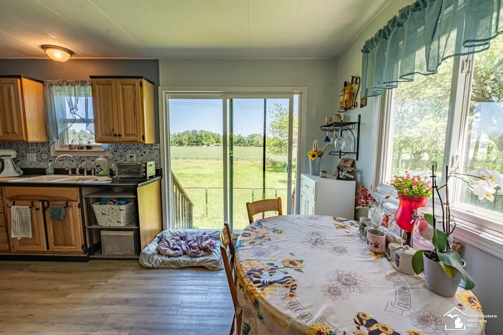 16788 Ida West Road Summerfield Township MI 49270