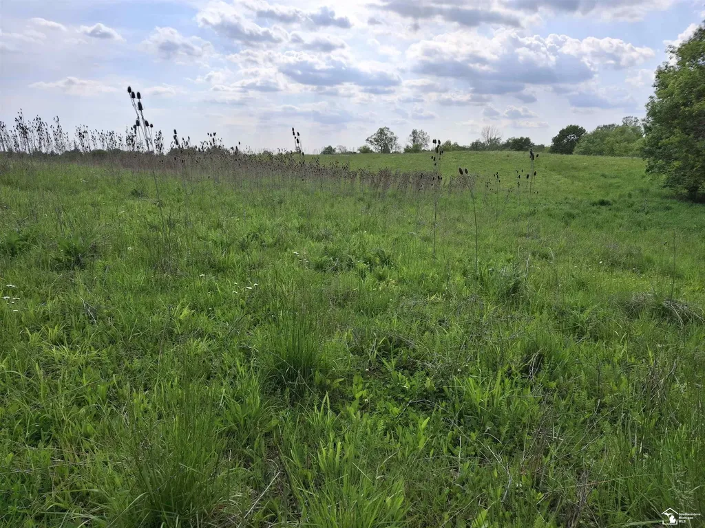 15000 W Beecher Road Hudson Township MI 49247