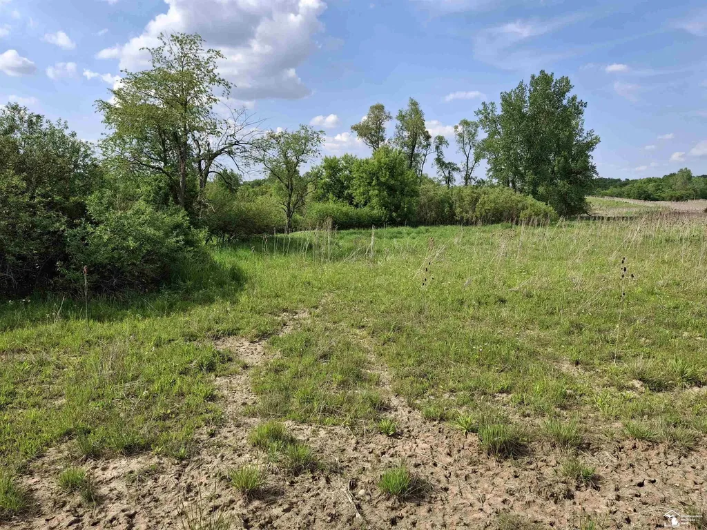 15000 W Beecher Road Hudson Township MI 49247
