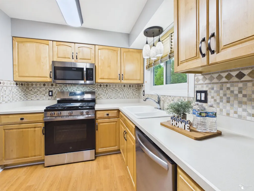 5250 Osburn Drive Raisin Township MI 49286