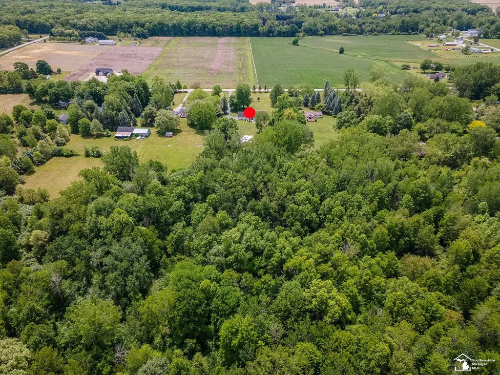 14060 Todd Road Ida Township MI 49270