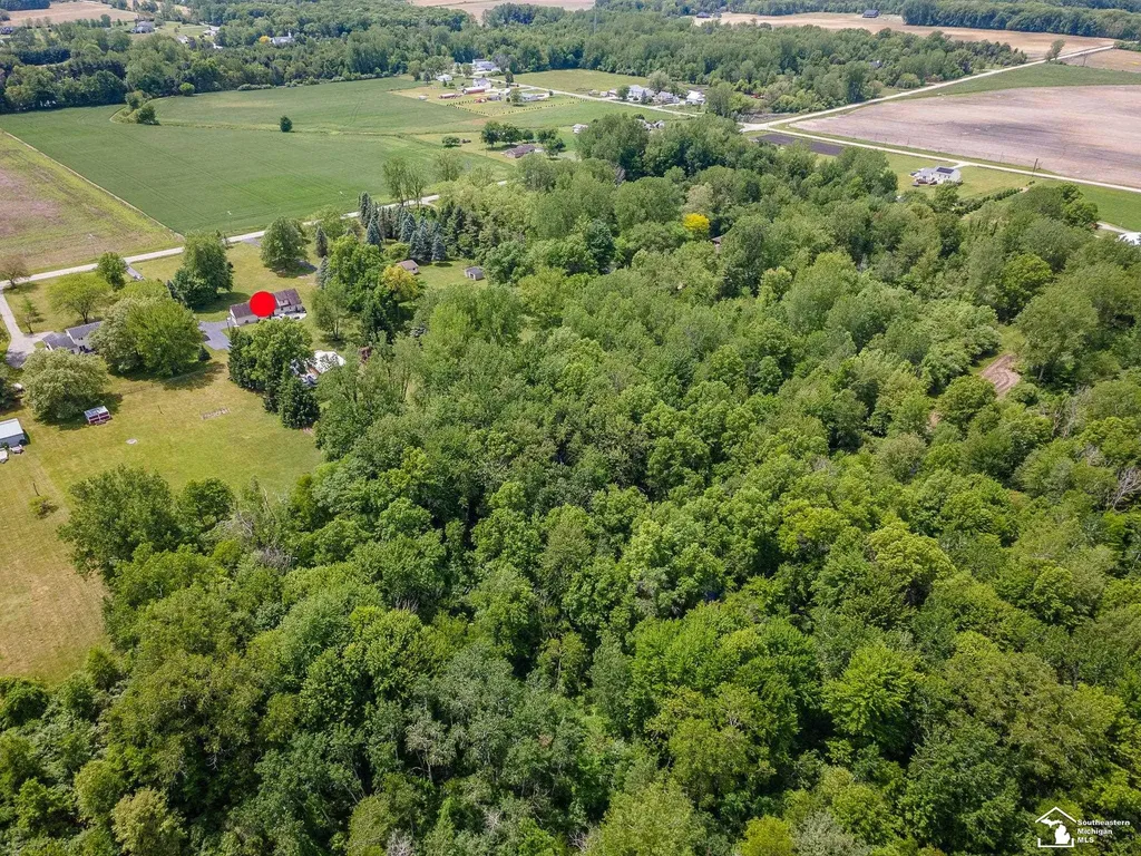 14060 Todd Road Ida Township MI 49270