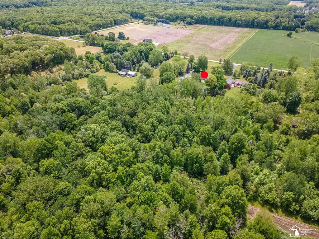 14060 Todd Road Ida Township MI 49270