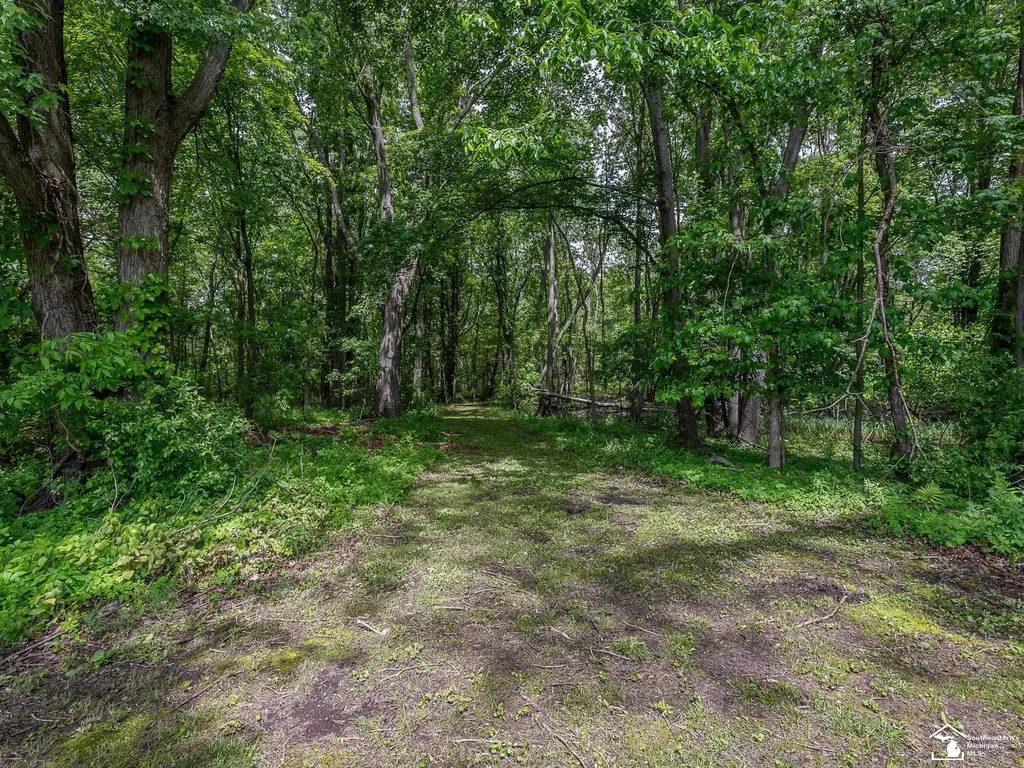 14060 Todd Road Ida Township MI 49270