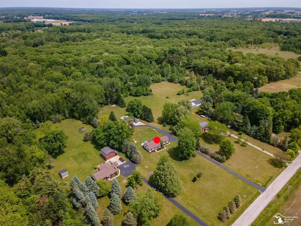 14060 Todd Road Ida Township MI 49270
